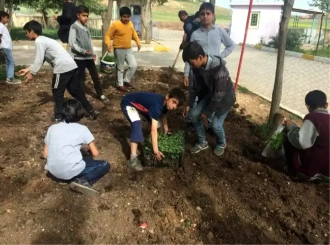 Ziraat mühendisi adayından Genç Mühendisler Projesi