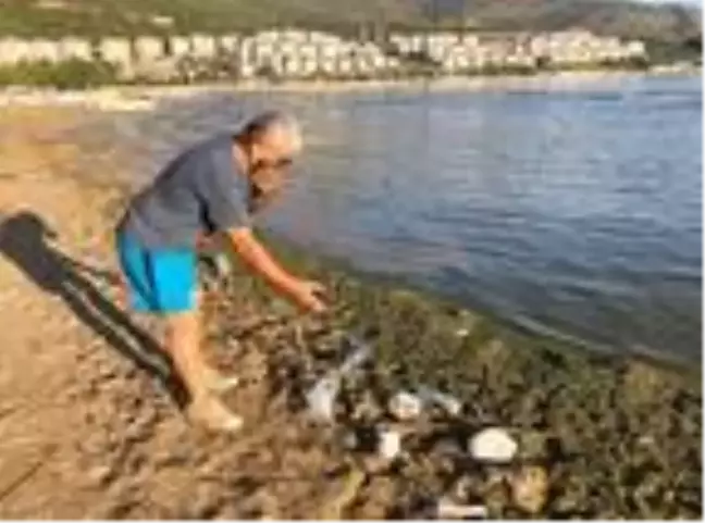Altınkum Plajı'nda kirlilik uyarısı