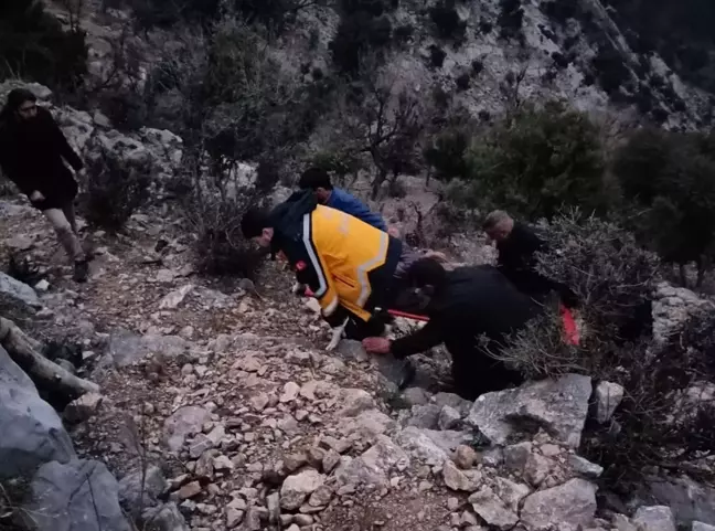 Adana'da Ağaçta Kalp Krizi Geçiren Kişi Hayatını Kaybetti