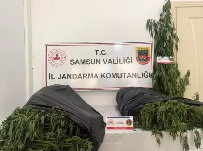 Samsun'da Uyuşturucu Operasyonu: 3 Kişi Gözaltına Alındı