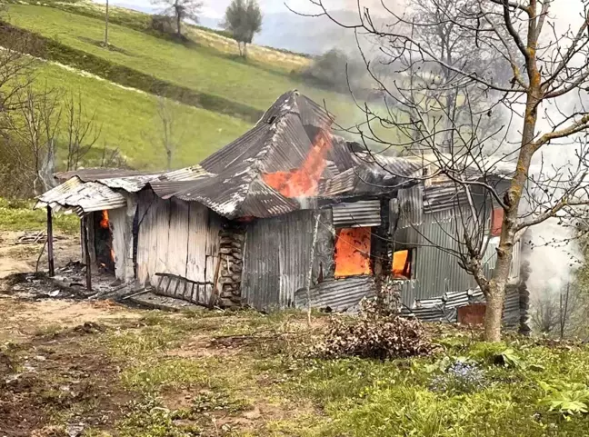 Ordu'da Yaşlı Adamın Evi Yangında Kullanılamaz Hale Geldi