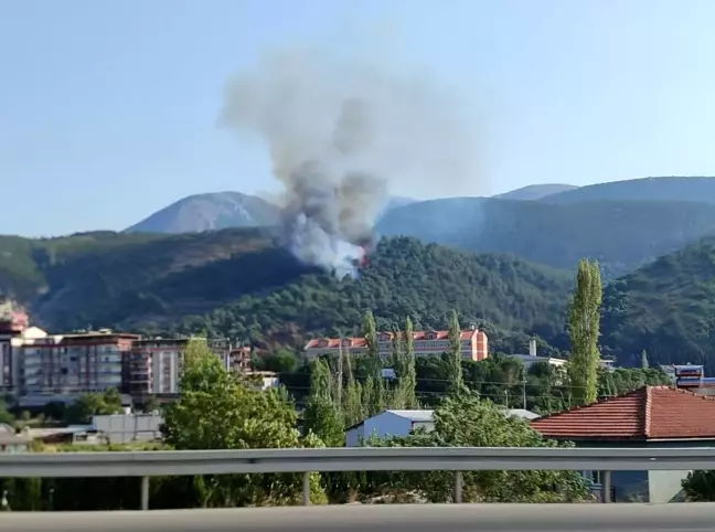 Manisa Soma'da Orman Yangını