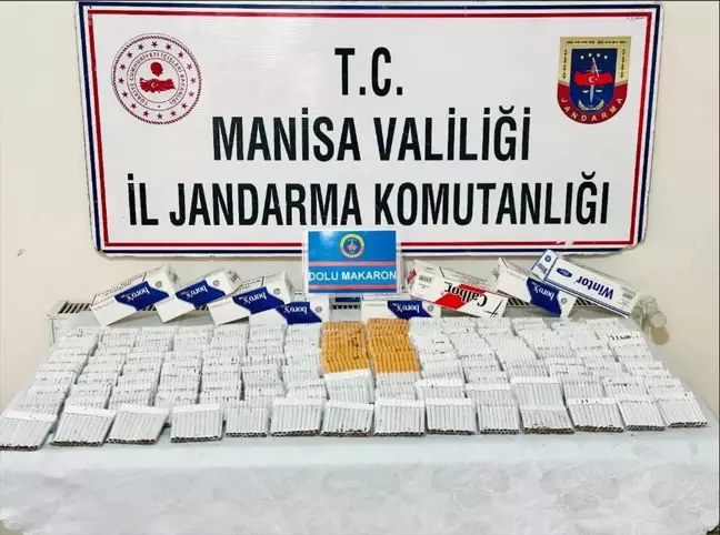 Manisa'da kaçak makaron operasyonu