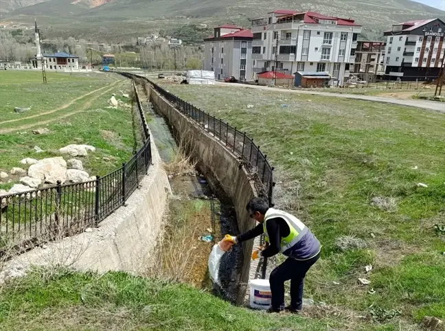 Bayburt'ta Sinek Mücadelesi Başladı