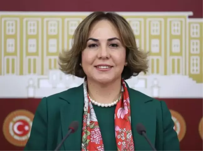 AK Parti'li Yılmaz'dan Sedef Kabaş'a tepki: Basın özgürlüğü değil hukuk tanımazlık