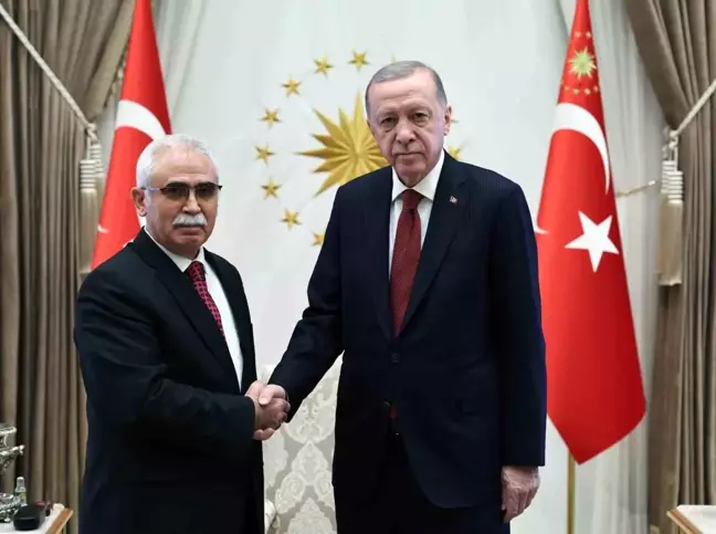 Cumhurbaşkanı Erdoğan, AYM Başkanı Özkaya'yı kabul etti