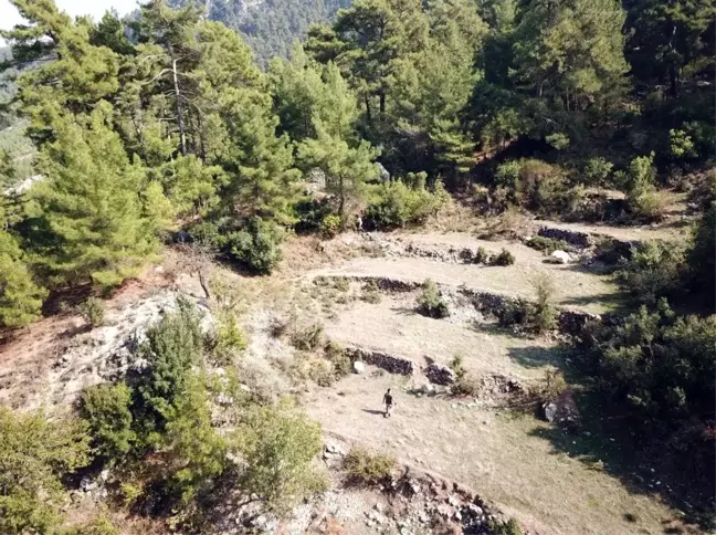 Fethiye'de kaybolan yaşlı adam için seferberlik