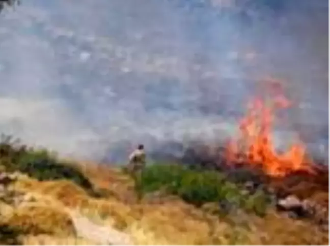 İzmir'de otluk ve makilik alanda yangın