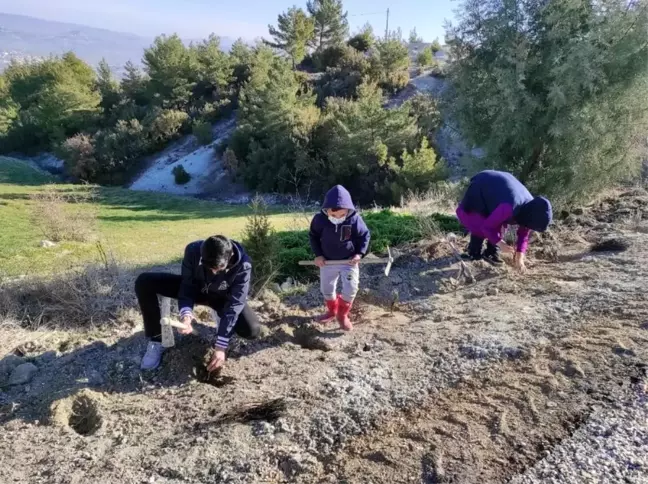 Türkiye'nin en uzun lavanta yolu Manisa'da yapılacak