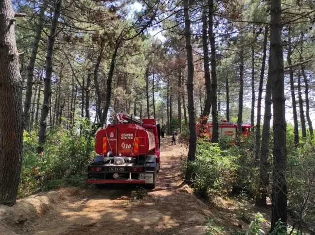 Son dakika haberi: Beykoz'da 15 Temmuz gazisinin öldürülmesine ilişkin yakalanan iki şüpheli adliyeye sevk edildi