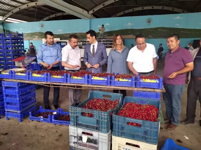 Pazarlar kirazı,
