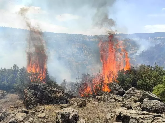 Son dakika... Mahallede anonsu duyan yangına koştu