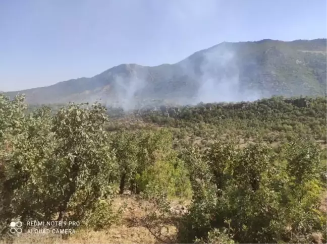 Elazığ'daki örtü yangını kontrol altında