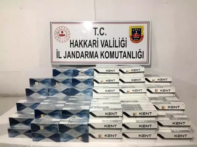 Hakkari'de gümrük kaçağı 3 bin 960 paket sigara ele geçirildi