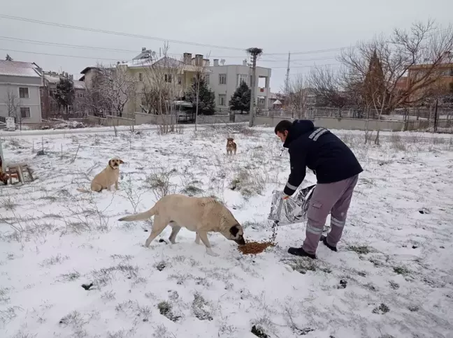 Başkan Bozkurt Mahalle Mahalle Vatandaşları Dinliyor