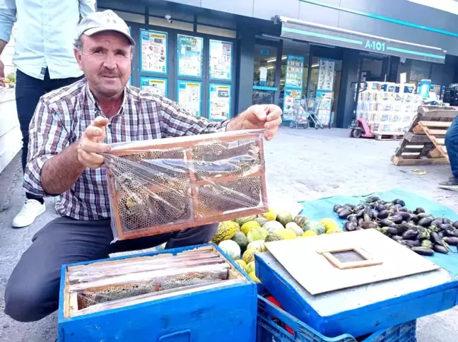 Katıldığı arıcılık kursunda işi öğrenen çiftçi, ürettiği balları satmaya başladı