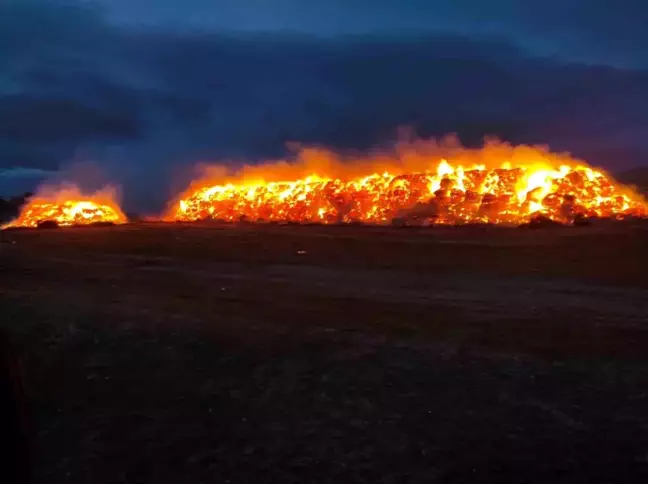 Konya'da 2 bin fiğ ve 800 ton yonca balyası yandı