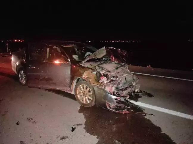 Aksaray'da otomobil koyun sürüsüne çarptı: 15 koyun telef oldu