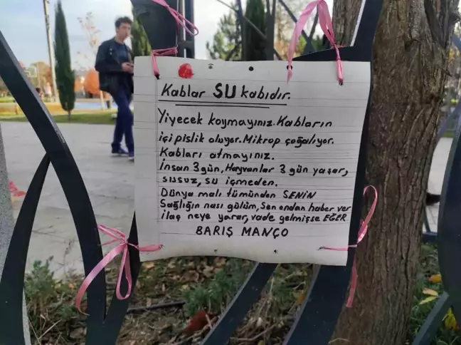 Sokak Hayvanları İçin Yemeksiz Su Kaplarına Dikkat Çeken Barış Manço Alıntısı