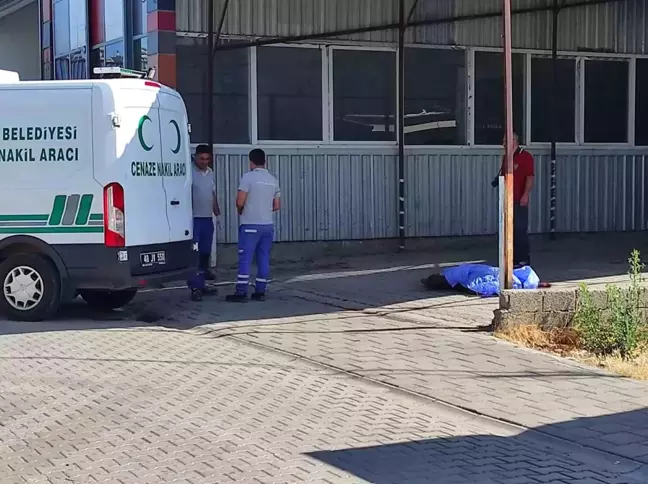 Fethiye'de Sanayi Bölgesinde Erkek Cesedi Bulundu