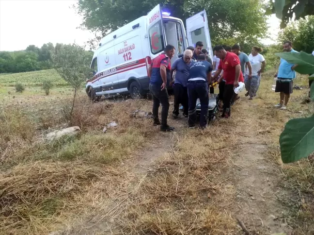 Kafkas Üniversitesi Biyoloji Bölüm Başkanı Traktör Kazasında Ağır Yaralandı