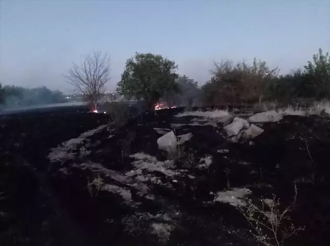 Malatya'da çıkan ot ve bahçe yangınları söndürüldü