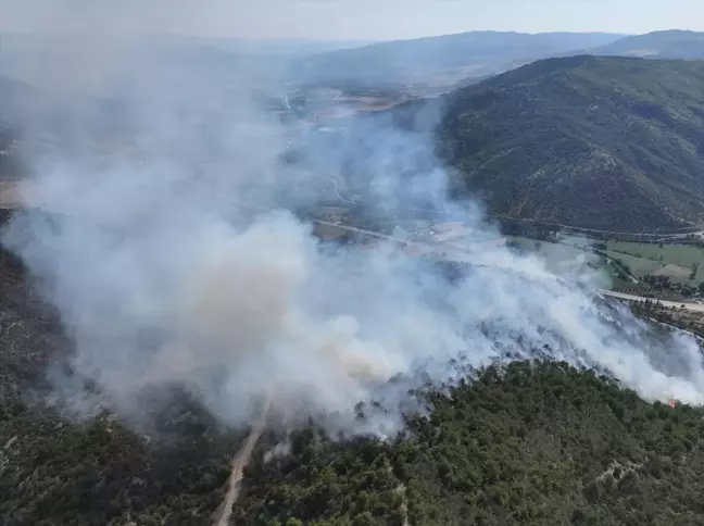 Tokat'ın Turhal ilçesinde ormanlık alanda yangın çıktı