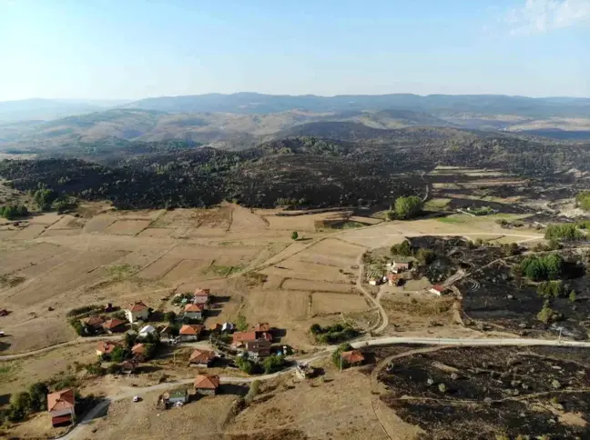 Ankara'da başlayan orman yangını havadan görüntülendi