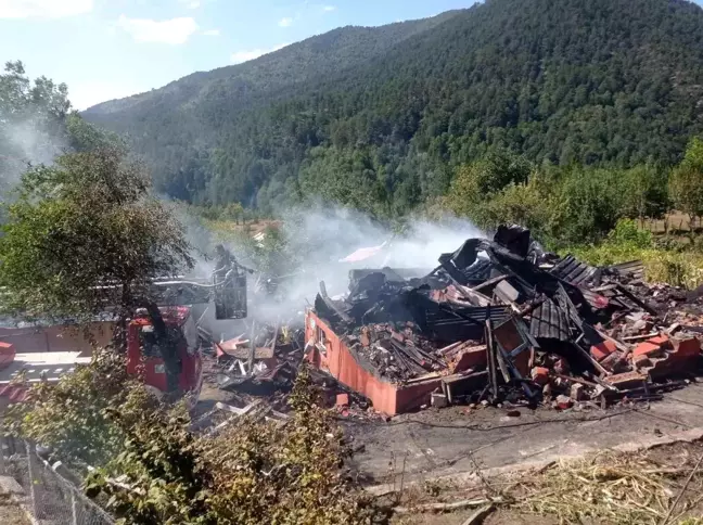 Bolu'da Ahşap Ev Alev Alev Yandı