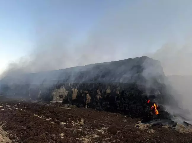 Cizre'de Saman Balyaları Yangında Tükendi