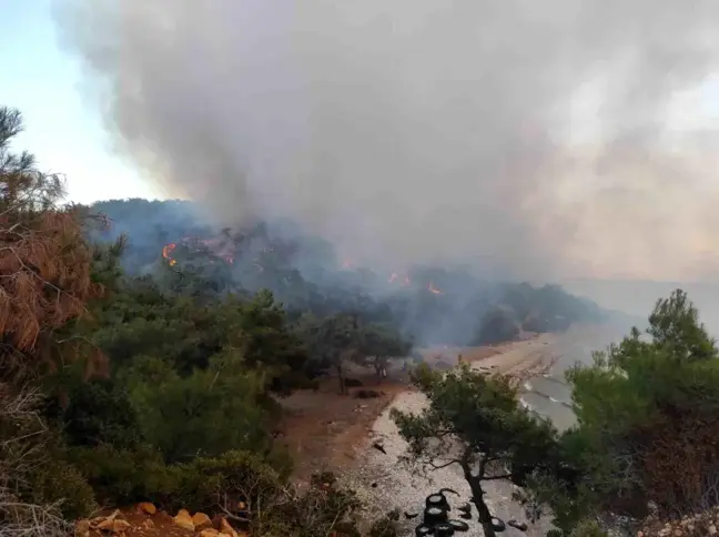 Edirne'de Orman Yangını Kontrol Altına Alındı