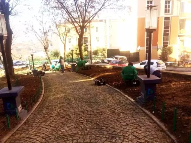 İzmit'te İki Parka 38 Bin 500 Lale Dikildi