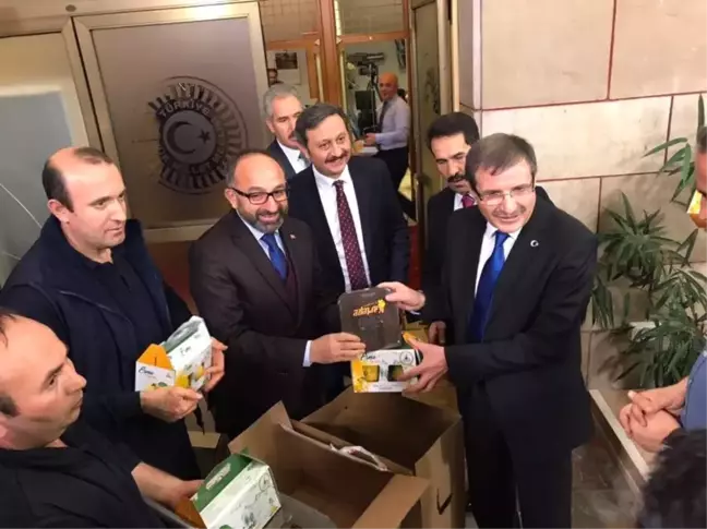 Kartepe'nin Meşhur Eşme Ayvası TBMM'de