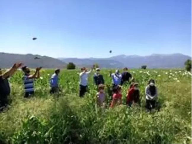 Burdur Karaaliler Ovasına 5 bin bıldırcın bırakıldı
