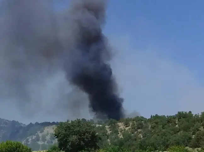 Nallıhan'da ormanlık alandaki yangın söndürüldü