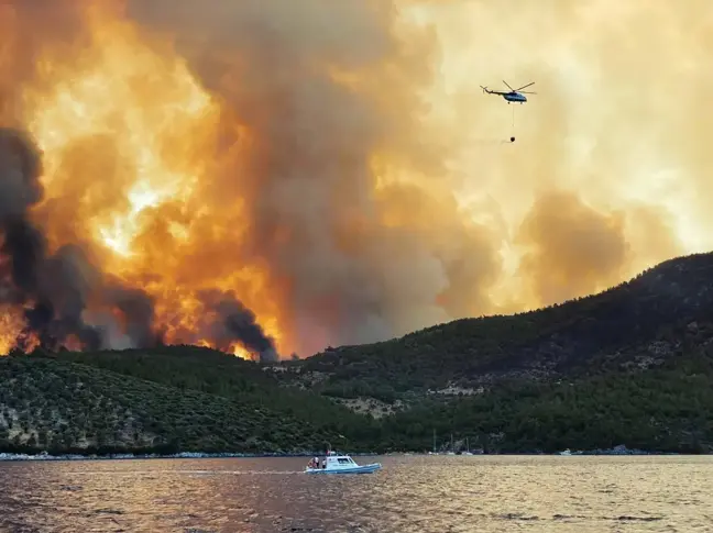 Yangınların sosyo-ekonomik etkileri projesi WWF raporunda
