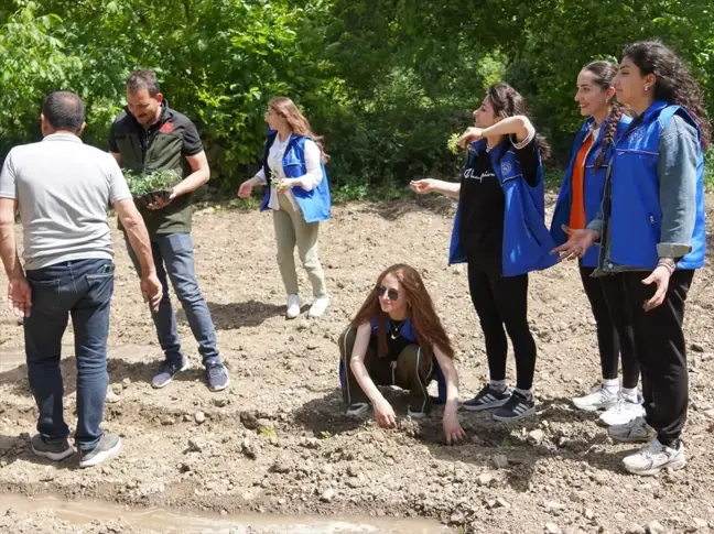 Hakkari Gençlik Merkezi'nde Sebze ve Meyve Bahçesi Etkinliği