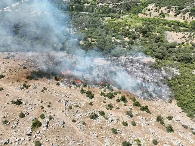 Çanakkale'de makilik alanda çıkan yangın söndürüldü