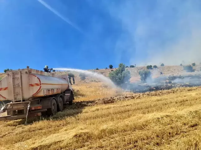 Mardin'de çıkan yangınlar kontrol altına alındı