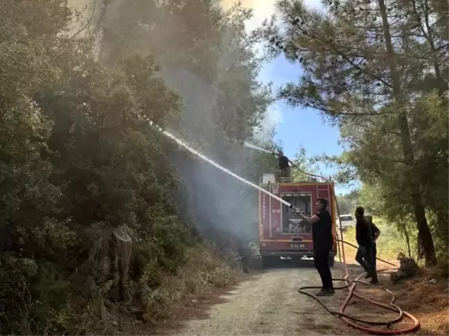 Hatay'da Orman Yangını Kontrol Altında