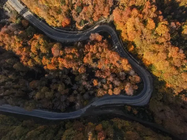 Uludağ'da Sonbahar Renk Cümbüşü: Dronla Görüntüleme