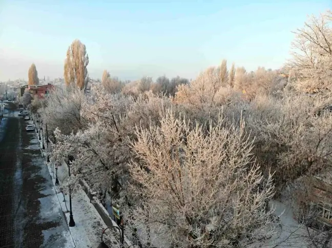 Kars'ta Eksi 18 Derece: Buz Kestiren Soğuk Doğayı Güzelleştirdi