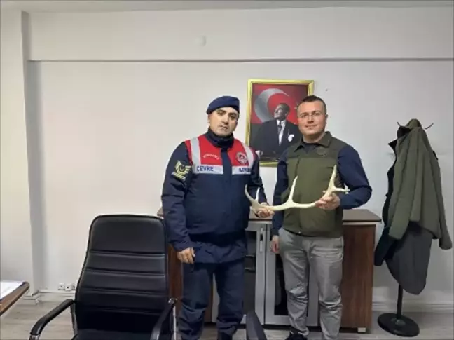 Eskişehir'de Geyik Boynuzu Satışı Yapan Şüpheli Yakalandı