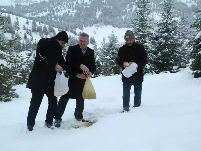 Ekinözü 'nde Ak Partililer Aç Kalan Yaban Hayvanları Unutmadı