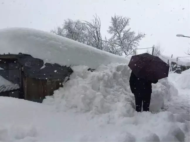 İtalya'daki Çığ Felaketi