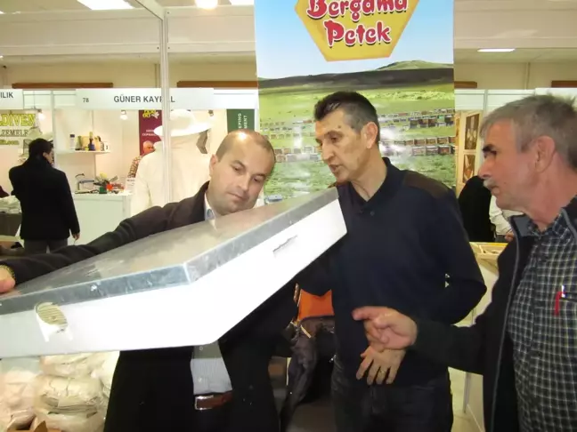 Alaplı'dan Kısa Kısa