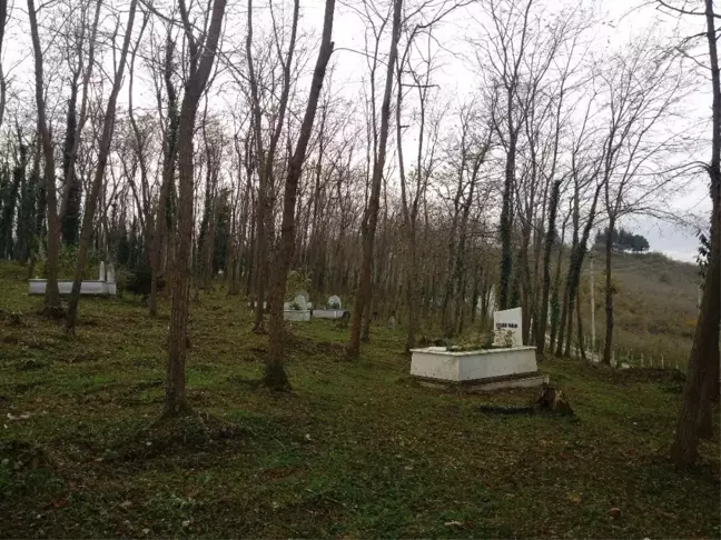 Ordu'da Yeni Mezarlık Alanları Belirlendi