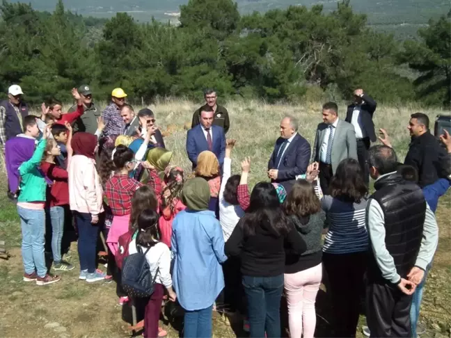 Havran'da Öğrenciler Baden Ağacı Dikti