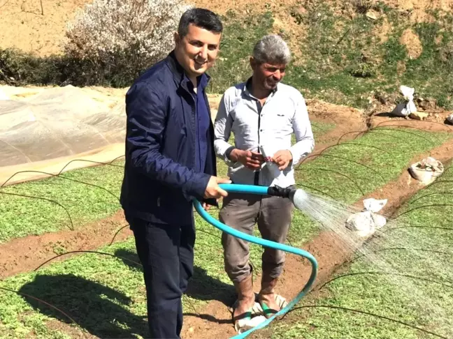 Sarıgöl AK Parti'de Referandum Çalışması