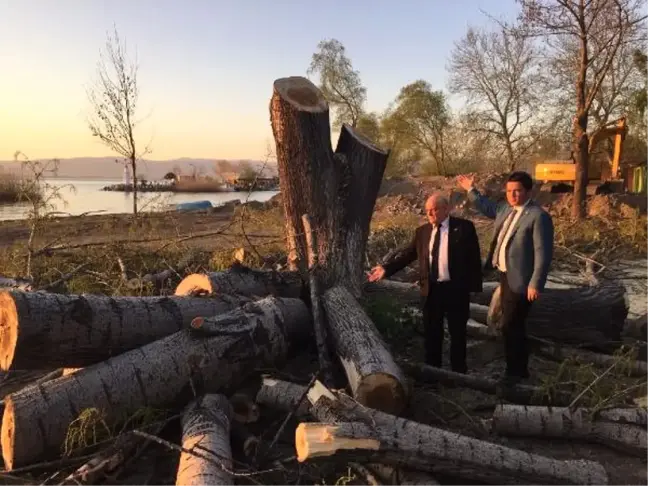 CHP'li Aydın'dan İznik Gölü Kıyısında Ağaç Kesimine Tepki